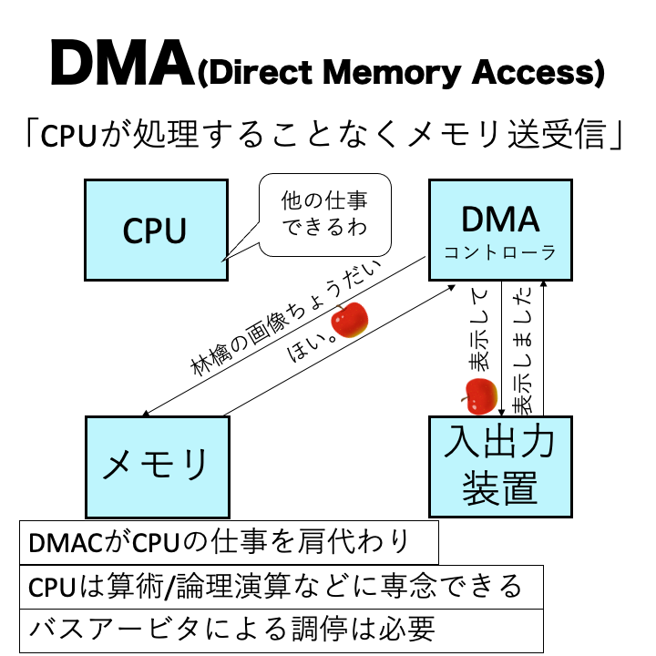 バスアービタ と コレクション は